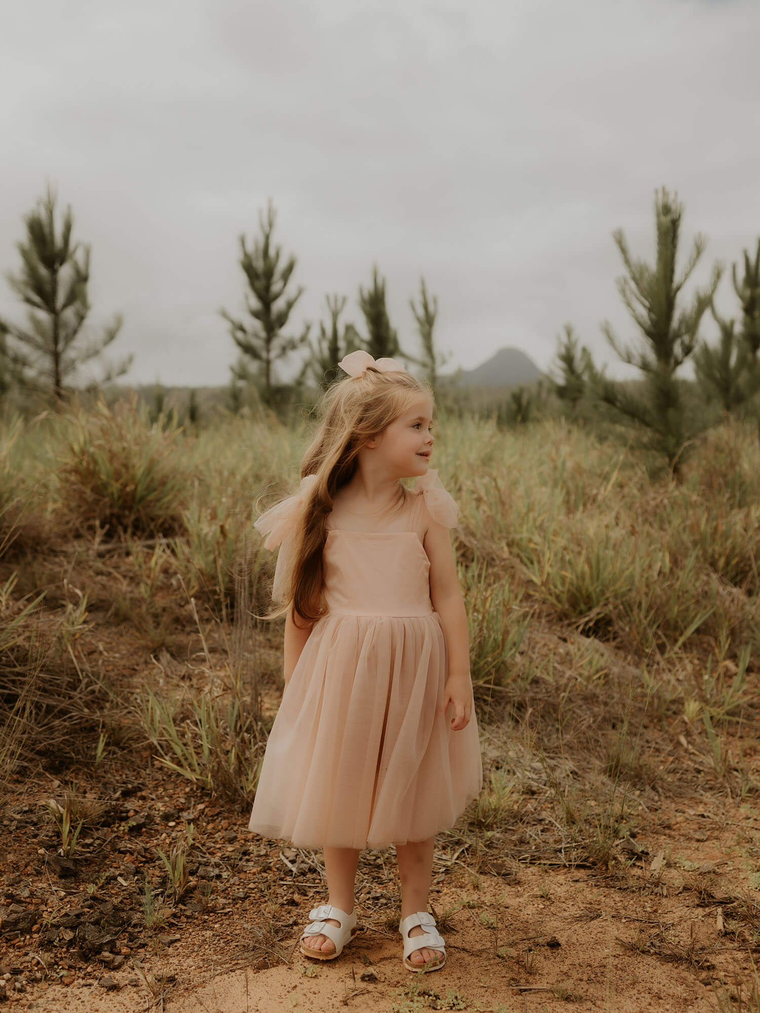 Isla dress - tea length - champagne - Image 14