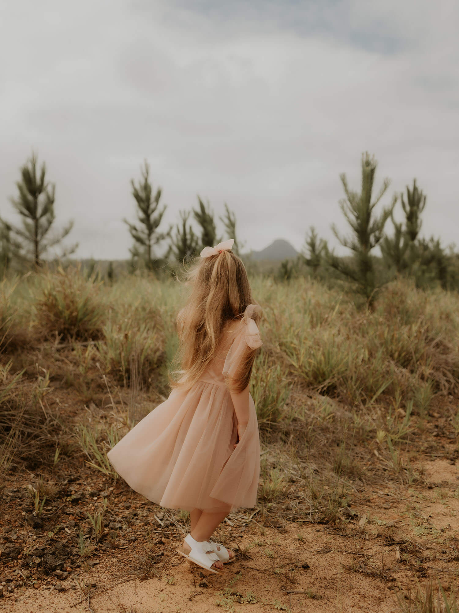 Isla dress - tea length - champagne - Image 16